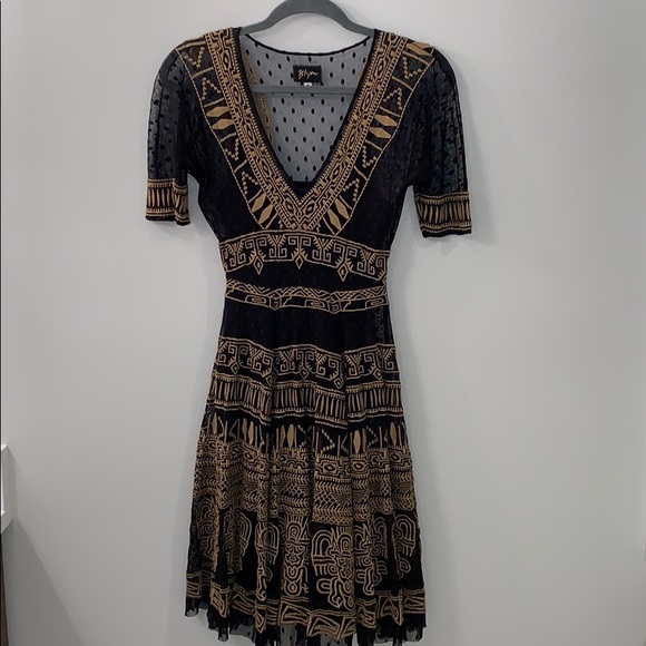Johnny Was Dresses & Skirts - Johnny Was/Biya Black Embroidered Mesh Dress